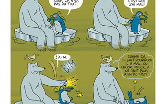 Lucidité, digue fragile