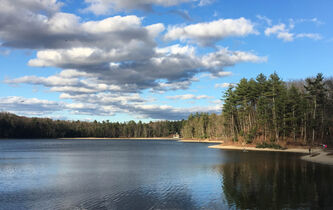 L’essentiel, avec Henry David Thoreau