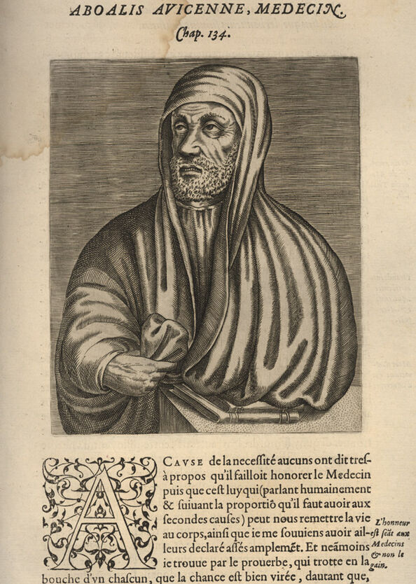 Avicenne, BNF